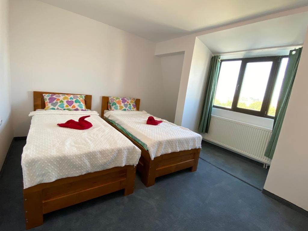 Hotel Casa Nord à Buzău Extérieur photo
